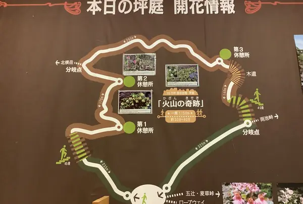 北八ヶ岳ロープウェイの写真・動画_image_617941