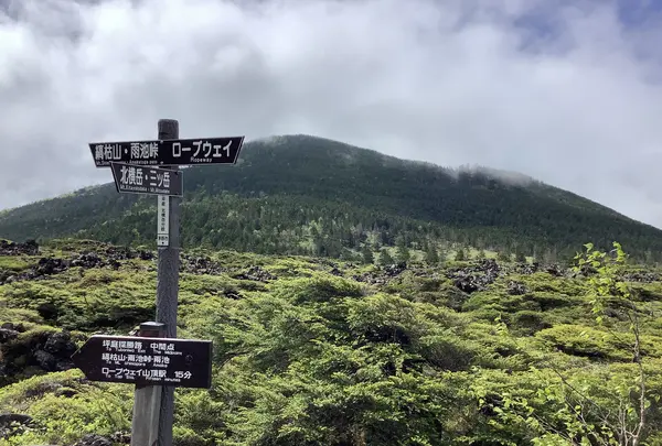 北八ヶ岳ロープウェイの写真・動画_image_617944