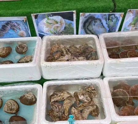 函館朝市の写真・動画_image_617965