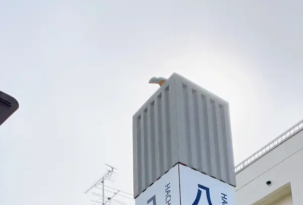 八幡坂の写真・動画_image_617973