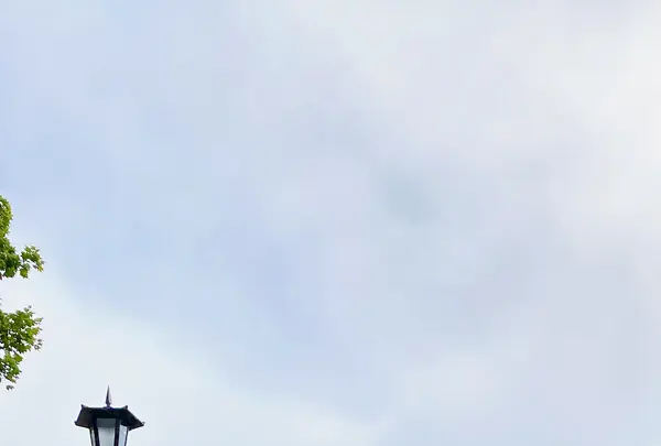 八幡坂の写真・動画_image_617975