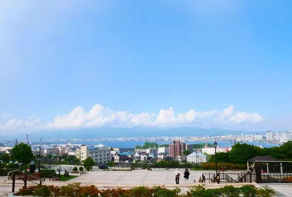 八幡坂の写真・動画_image_617976