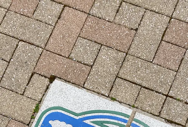 八幡坂の写真・動画_image_617977