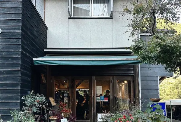 山鳩の写真・動画_image_618132