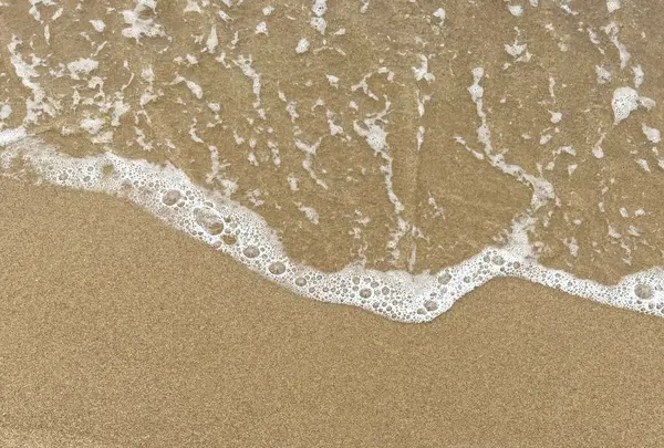 琴ケ浜海水浴場の写真・動画_image_618212
