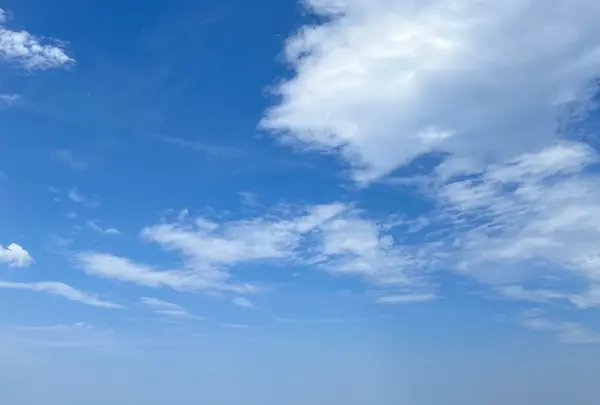 鳥取砂丘の写真・動画_image_618251
