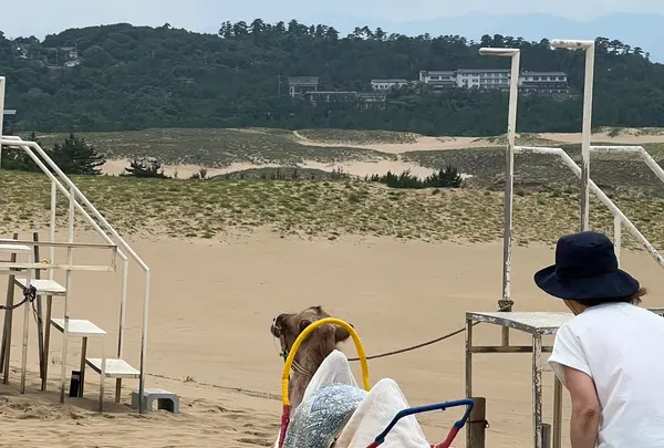 らくだやの写真・動画_image_618257