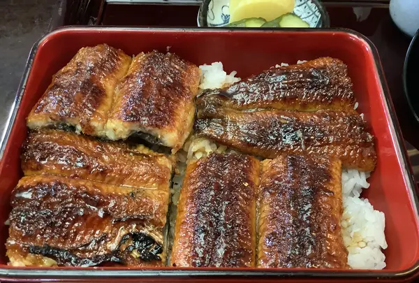 炭焼うなぎ あおいやの写真・動画_image_618331