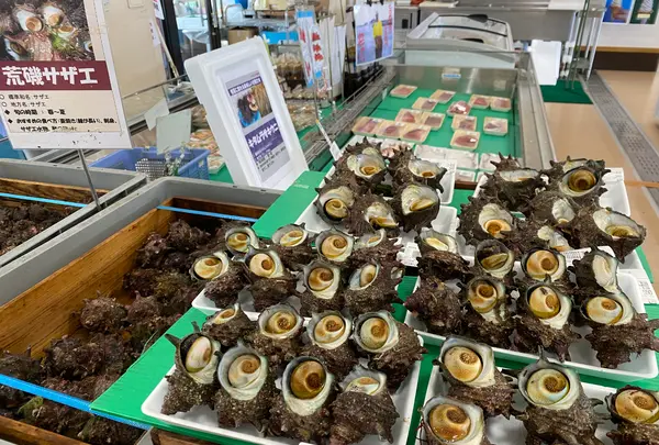道の駅 ふかうら かそせいか焼き村の写真・動画_image_618391