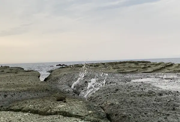 千畳敷の写真・動画_image_618393