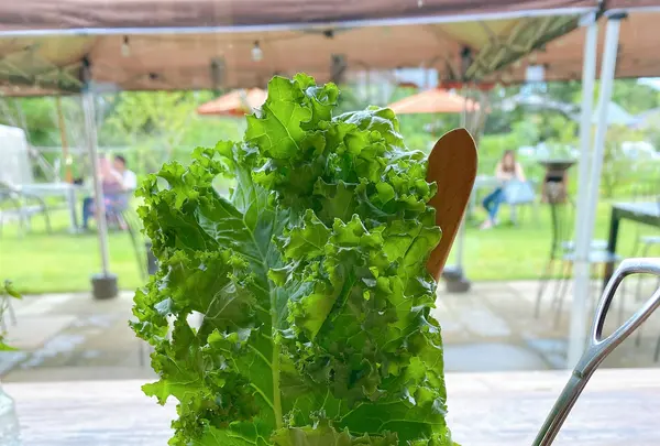 アキウ舎の写真・動画_image_619065