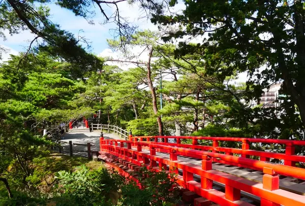 仙台〜松島の写真・動画_image_619068