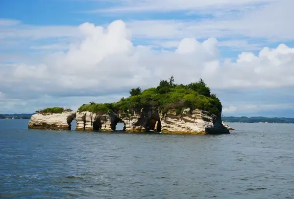 仙台〜松島の写真・動画_image_619071