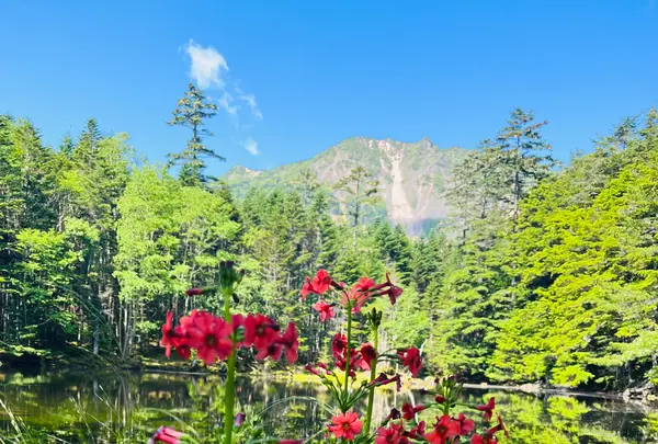 みどり池の写真・動画_image_619345