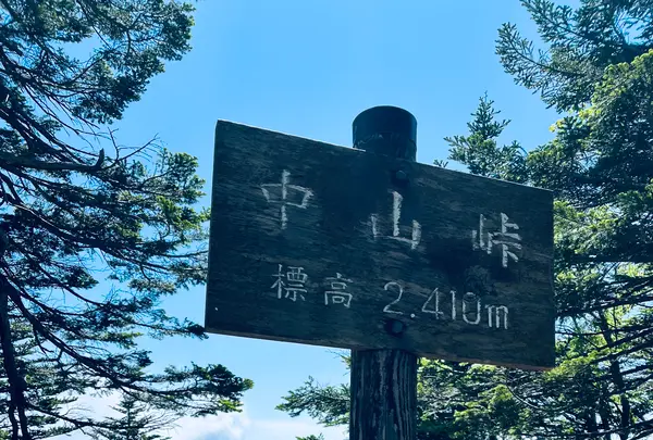 みどり池の写真・動画_image_619347