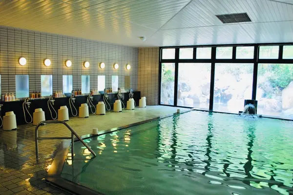 ロイヤルホテル八ヶ岳の写真・動画_image_619387