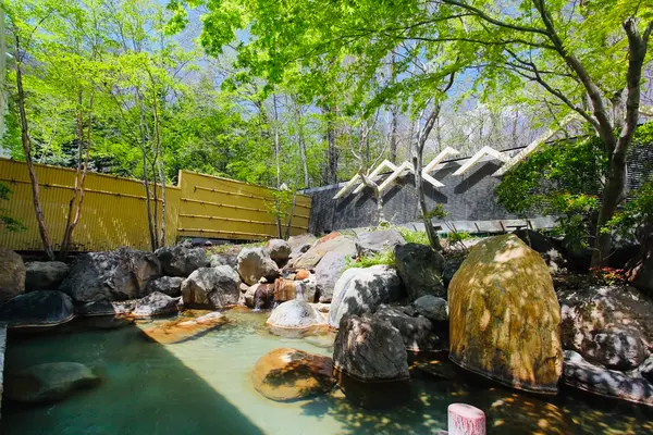 ロイヤルホテル八ヶ岳の写真・動画_image_619388