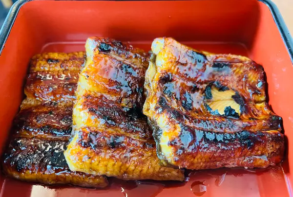 うなぎ松倉の写真・動画_image_619401