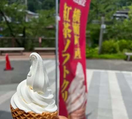 道の駅 果樹公園あしがくぼの写真・動画_image_619825
