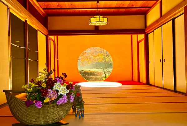 明月院（あじさい寺）の写真・動画_image_620604