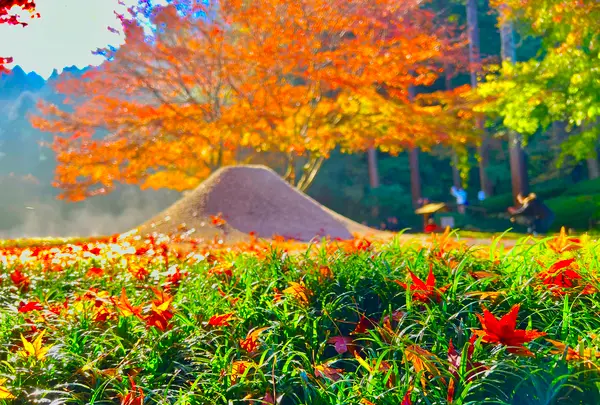明月院（あじさい寺）の写真・動画_image_620609