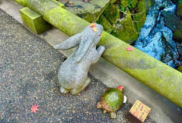 明月院（あじさい寺）の写真・動画_image_620612