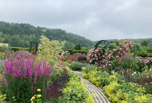 銀河庭園の写真・動画_image_621438