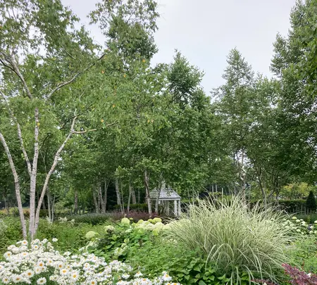 銀河庭園の写真・動画_image_621439