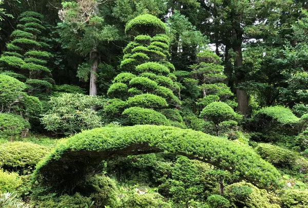 長谷寺の写真・動画_image_621607