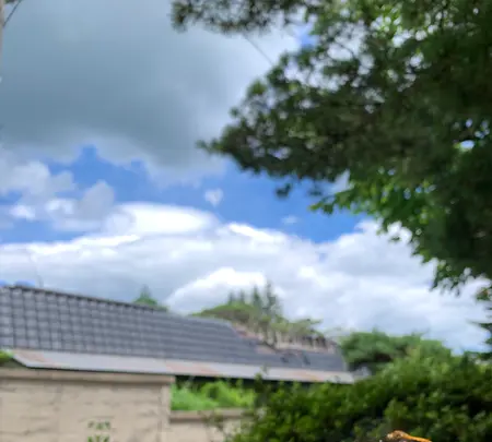 岳温泉神社の写真・動画_image_622138
