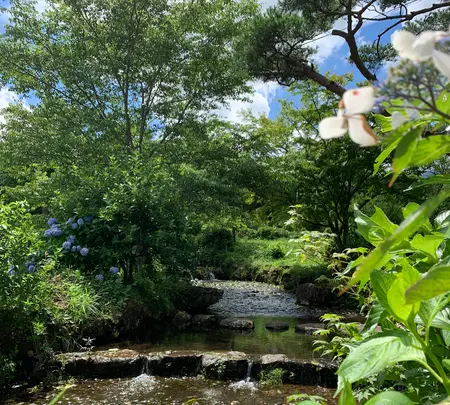 鏡ヶ池公園の写真・動画_image_622154