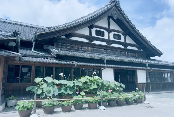 豊川閣妙嚴寺（豊川稲荷）本殿の写真・動画_image_622441