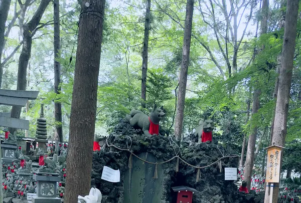 豊川稲荷の写真・動画_image_622445
