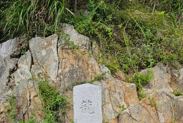 竜神岬の写真・動画_image_622453