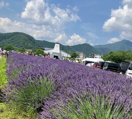 大石公園の写真・動画_image_622500