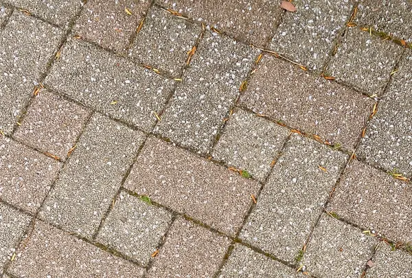 函館市旧イギリス領事館の写真・動画_image_622514