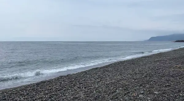 ヒスイ海岸の写真・動画_image_622607