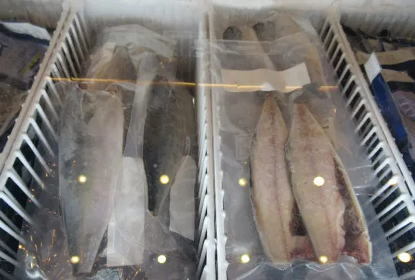 大鯖魚夢工廠の写真・動画_image_623502