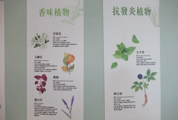 Healtdeva 赫蒂法荘園の写真・動画_image_623515