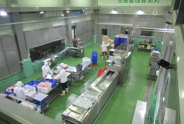 渓和水産観光工廠の写真・動画_image_623525