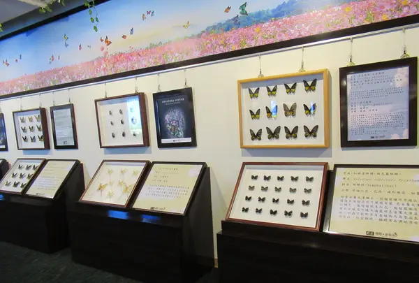 綺麗胡蝶芸術館の写真・動画_image_623628