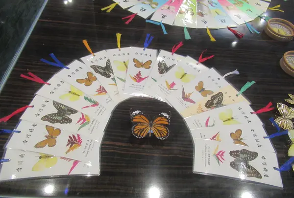 綺麗胡蝶芸術館の写真・動画_image_623630