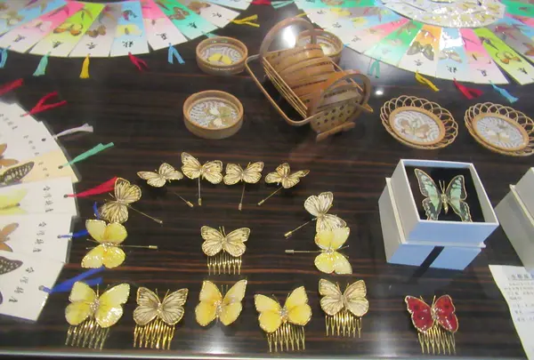 綺麗胡蝶芸術館の写真・動画_image_623632