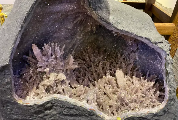 綺麗珊瑚博物館の写真・動画_image_623637