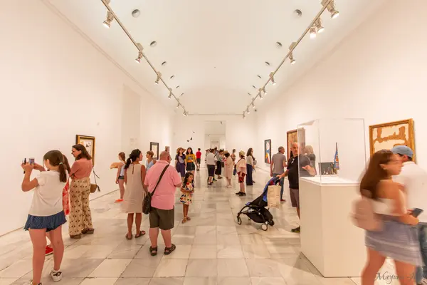 Museo Nacional Centro de Arte Reina Sofía（ソフィア王妃芸術センター）の写真・動画_image_623925