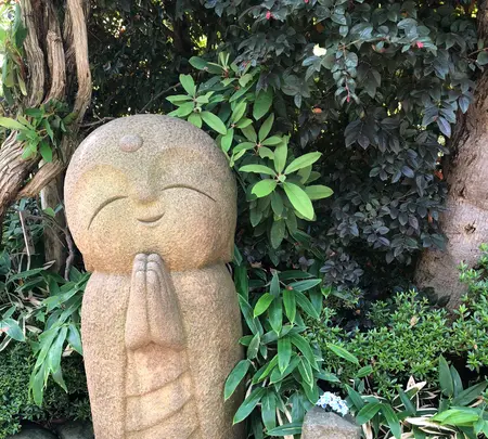 長谷寺の写真・動画_image_624229