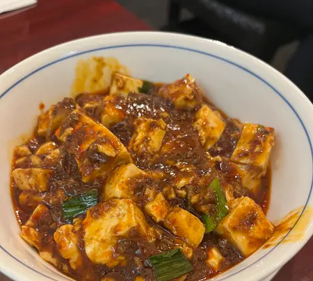 中国名菜 陳麻婆豆腐の写真・動画_image_624944