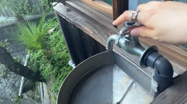 天野屋旅館の写真・動画_image_625217