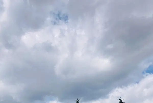 弘前城の写真・動画_image_625406