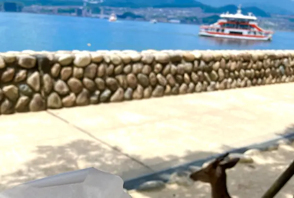 株式会社ＢＩＧＳＥＴ 宮島本店の写真・動画_image_626003